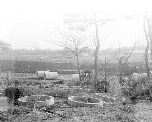 1963_1