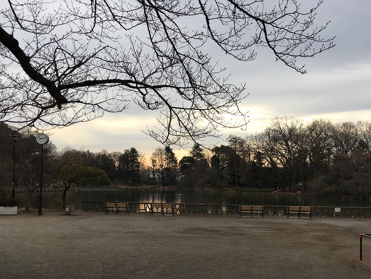 善福寺公園