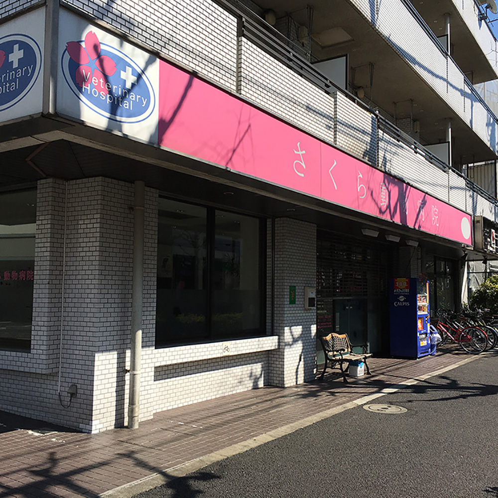 さくら動物病院